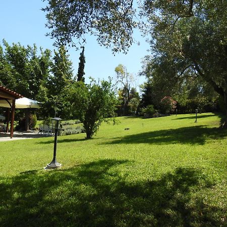 Konstantinos'S Luxury Residence Sani Сани Бийч Екстериор снимка