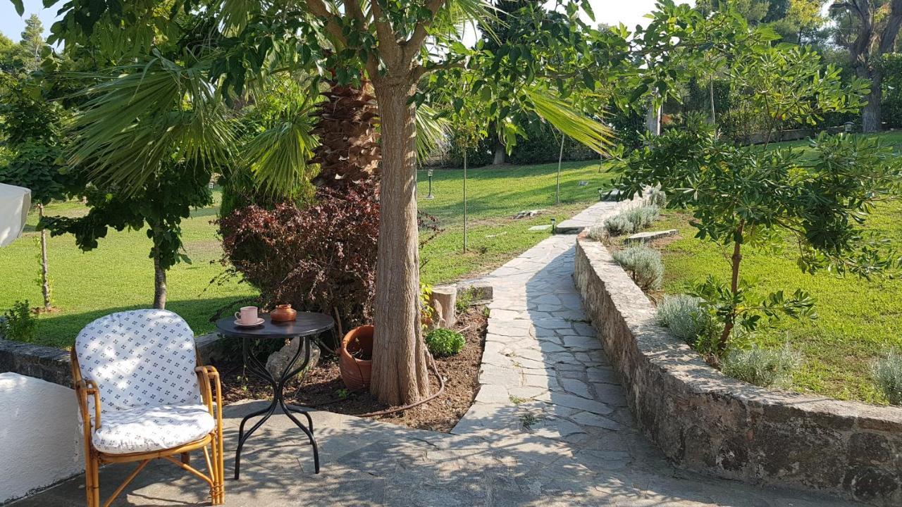 Konstantinos'S Luxury Residence Sani Сани Бийч Екстериор снимка