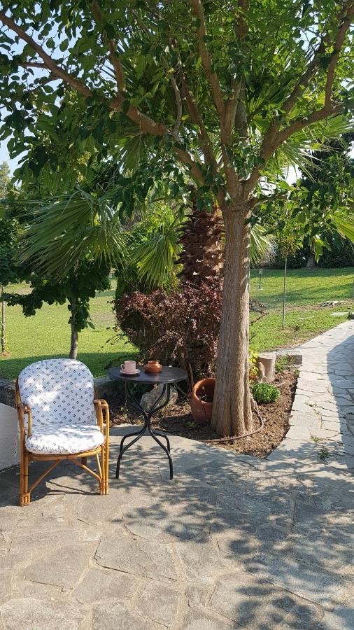 Konstantinos'S Luxury Residence Sani Сани Бийч Екстериор снимка