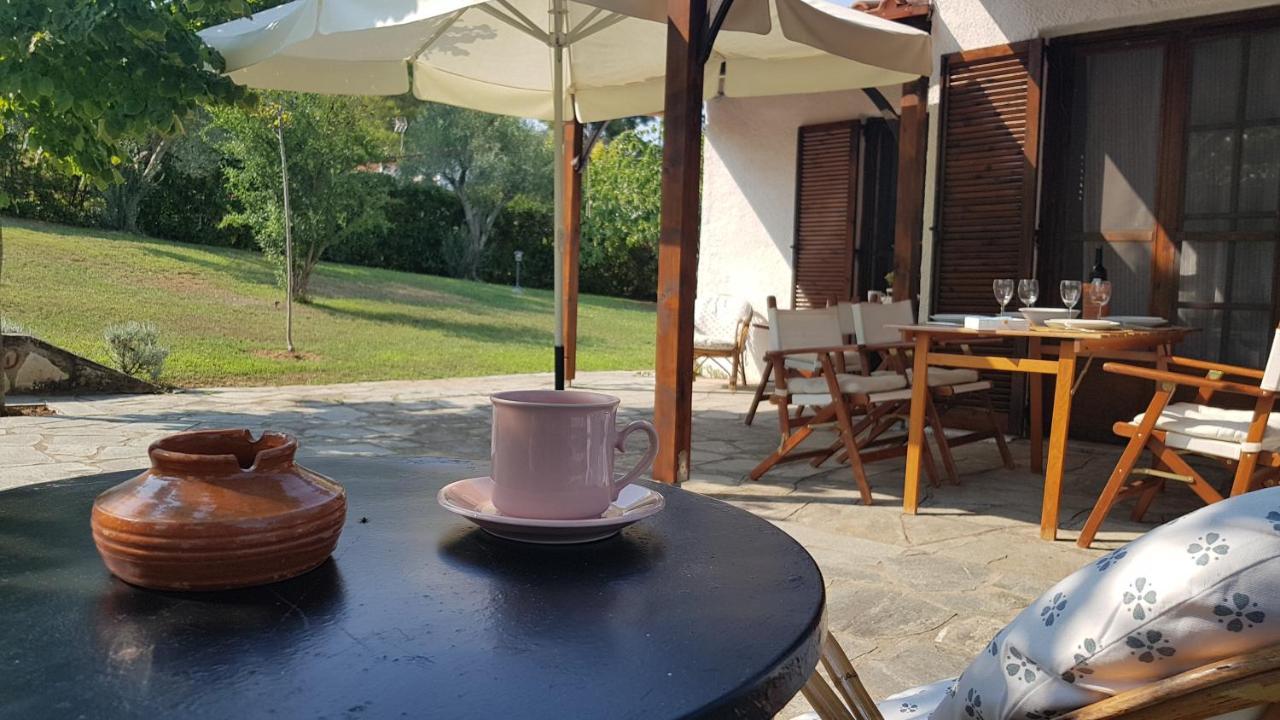 Konstantinos'S Luxury Residence Sani Сани Бийч Екстериор снимка