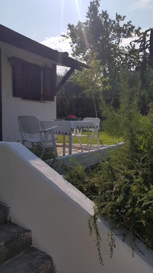 Konstantinos'S Luxury Residence Sani Сани Бийч Екстериор снимка