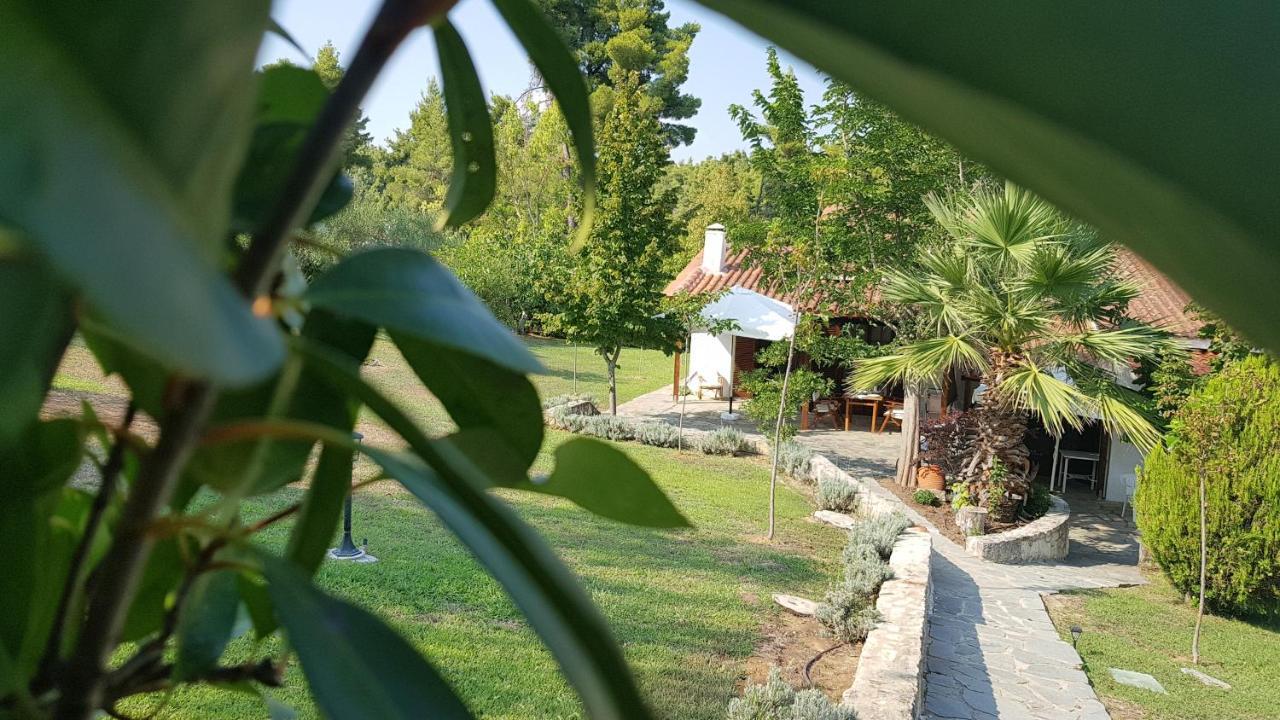 Konstantinos'S Luxury Residence Sani Сани Бийч Екстериор снимка