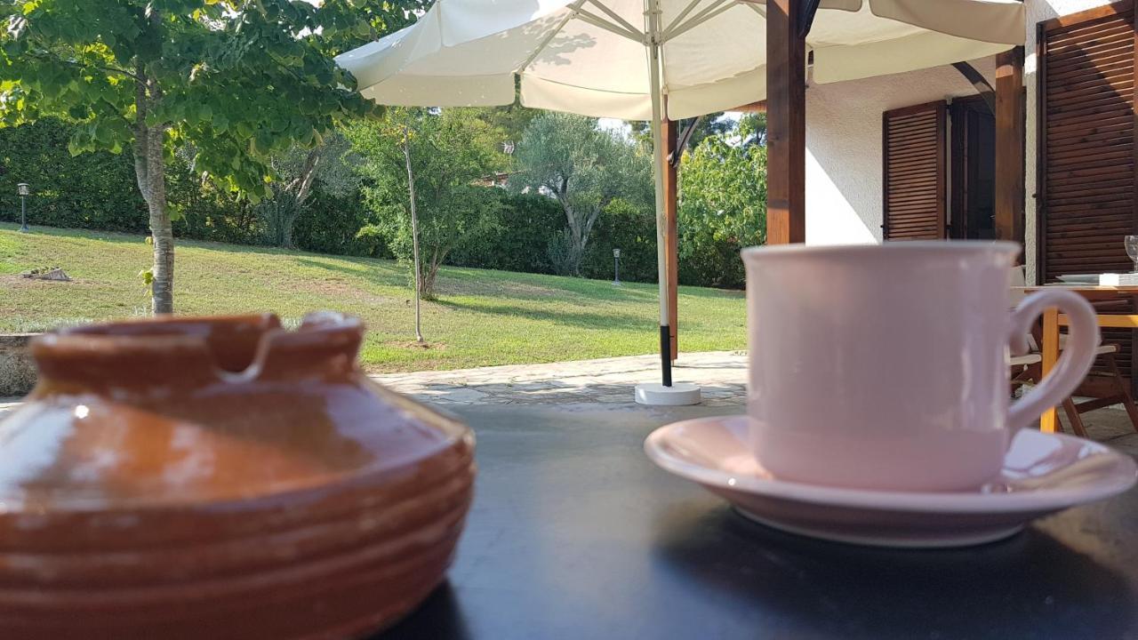 Konstantinos'S Luxury Residence Sani Сани Бийч Екстериор снимка