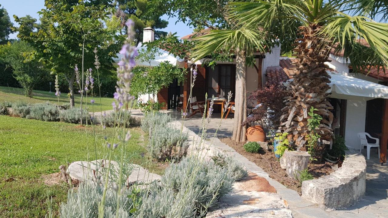 Konstantinos'S Luxury Residence Sani Сани Бийч Екстериор снимка