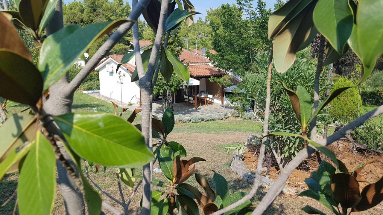 Konstantinos'S Luxury Residence Sani Сани Бийч Екстериор снимка