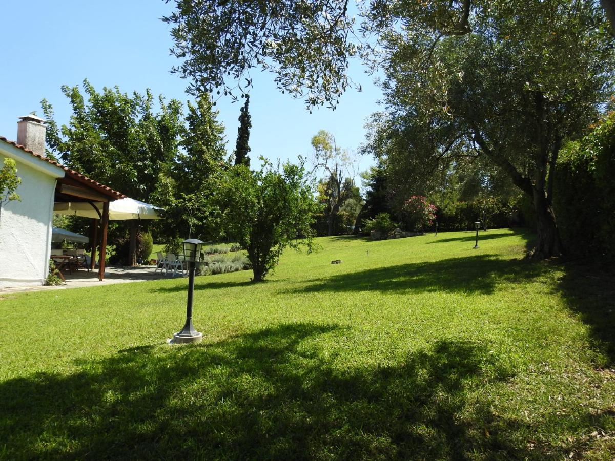 Konstantinos'S Luxury Residence Sani Сани Бийч Екстериор снимка